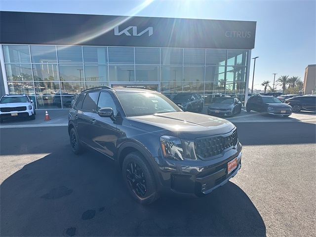 2025 Kia Telluride SX Prestige X-Pro's photo