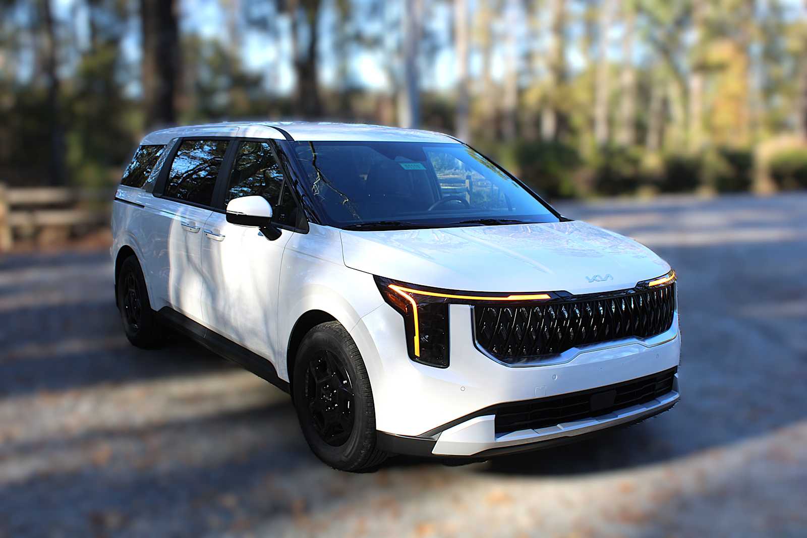 2026 Kia Carnival LXS photo 18