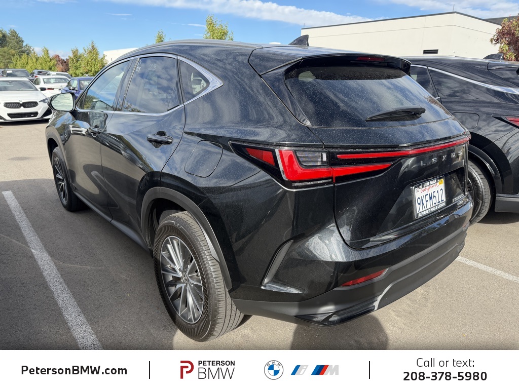 2024 Lexus NX 350h photo 4