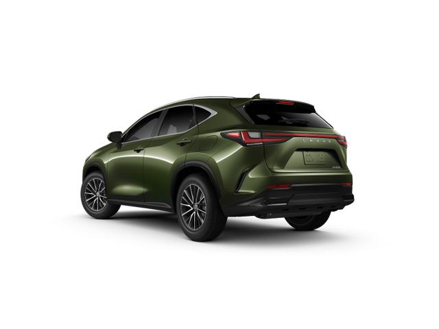 2025 Lexus NX 350 Premium AWD photo 3