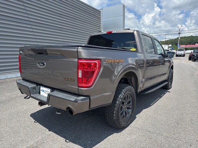 2022 Ford F-150 Tremor photo 3