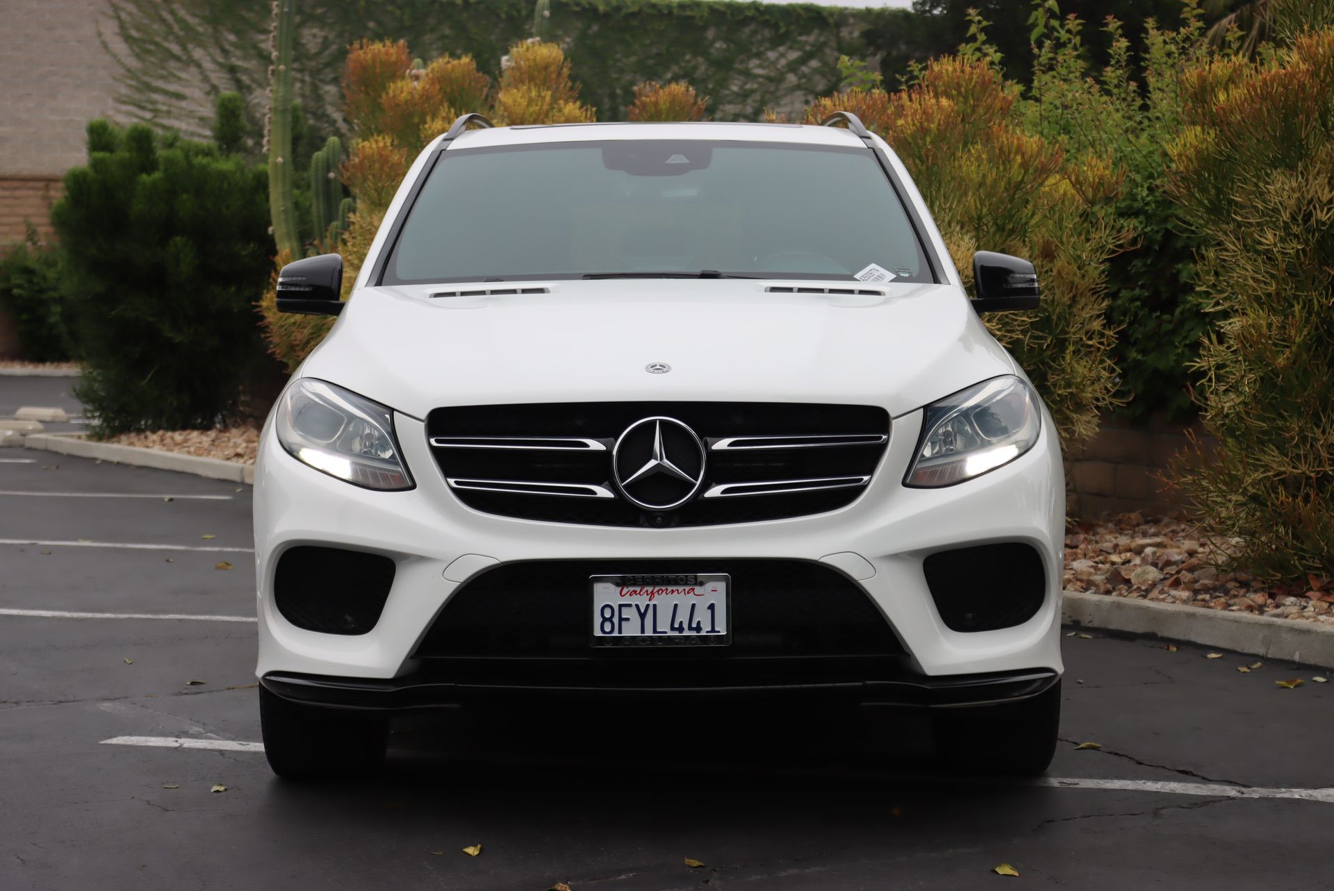 2018 Mercedes Benz GLE 350 photo 3