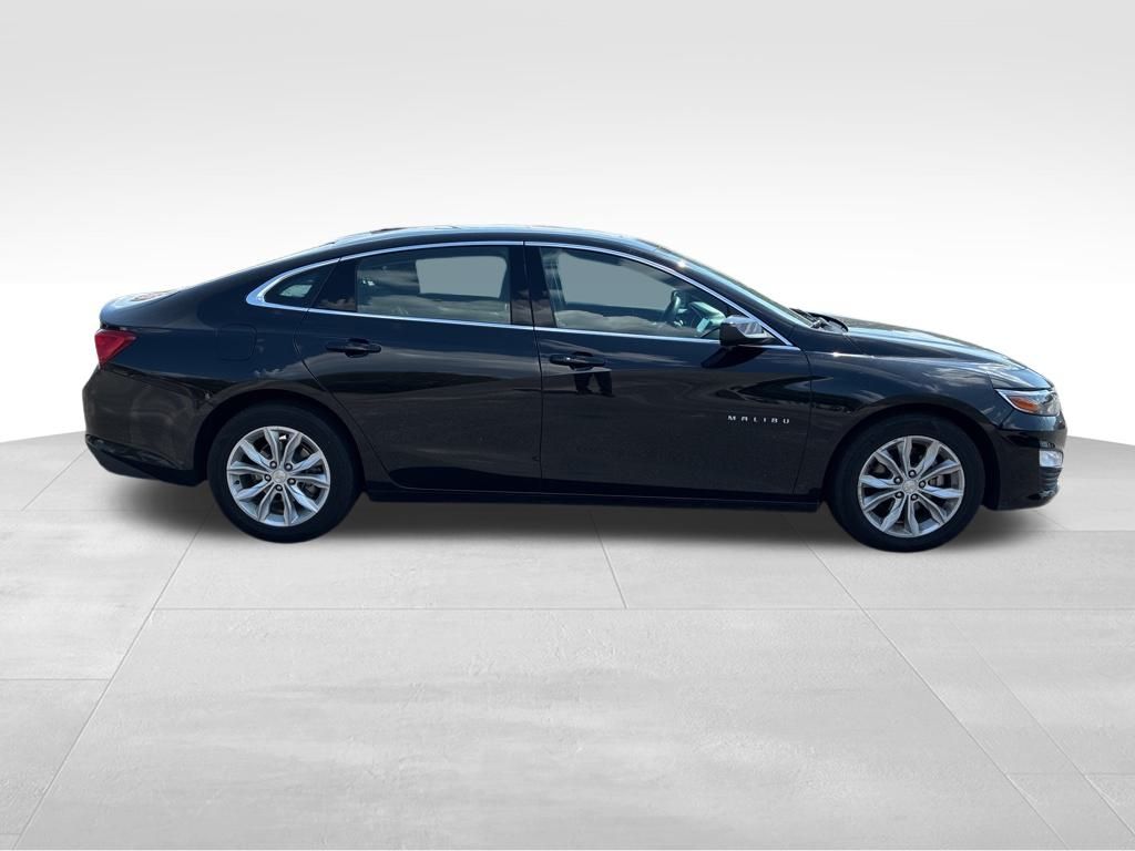 2023 Chevrolet Malibu 1LT photo 6