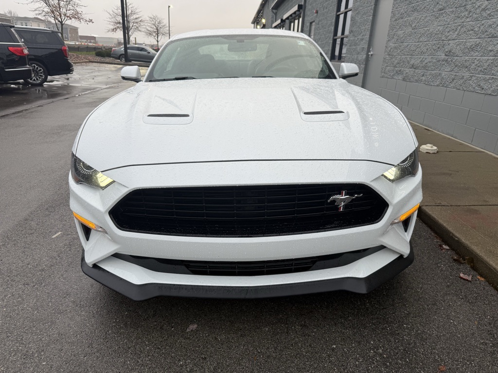 2019 Ford Mustang GT Premium photo 3