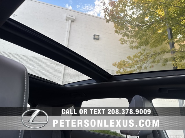 2024 Lexus RX 350h Luxury photo 13