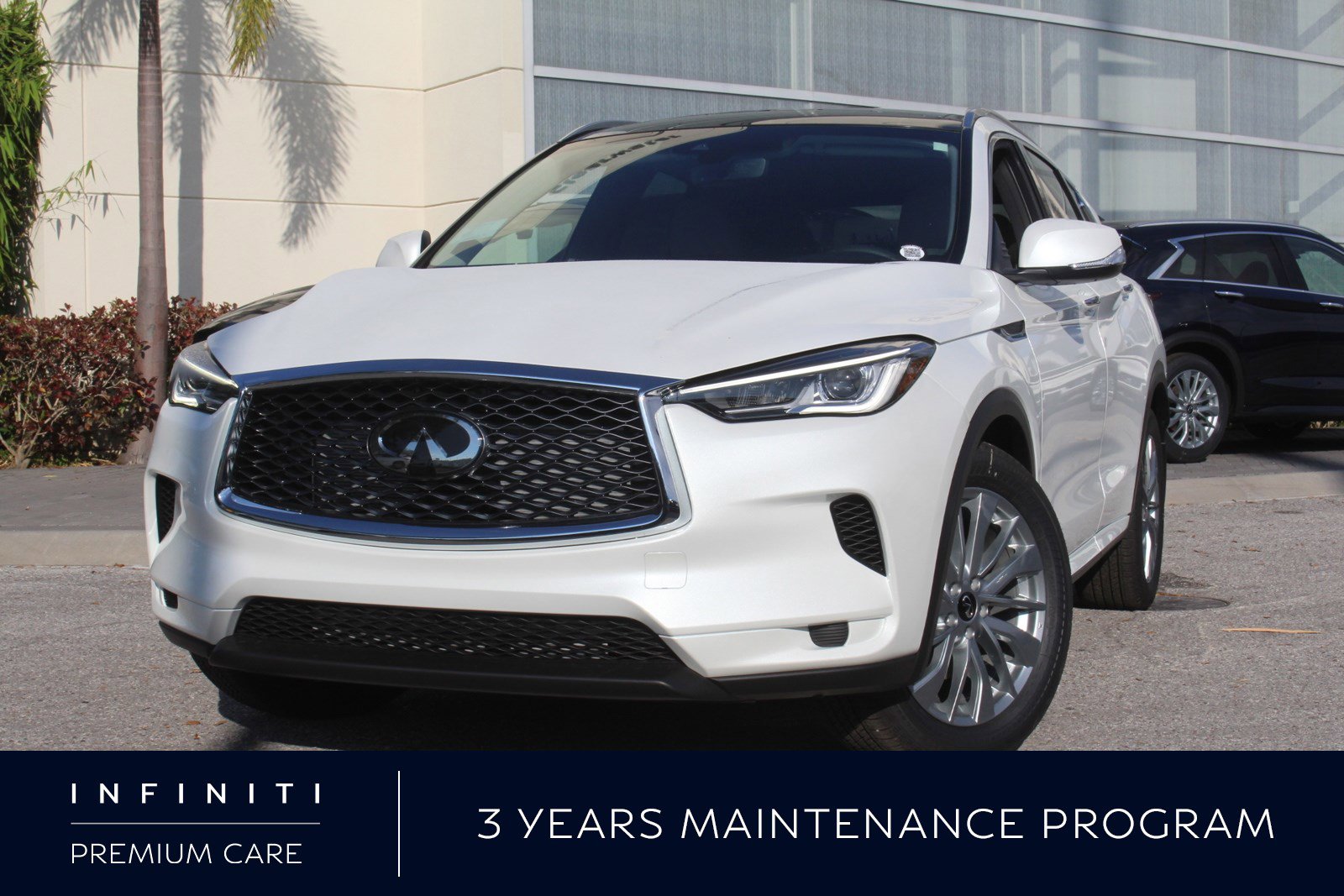 2025 INFINITI QX50 Luxe's photo