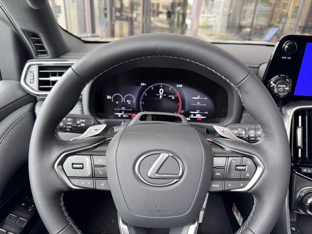 2025 Lexus LX photo 10