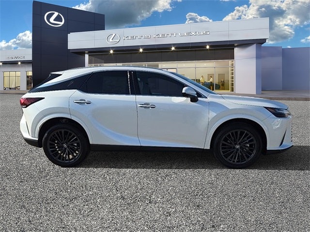2025 Lexus RX 350 Premium photo 2