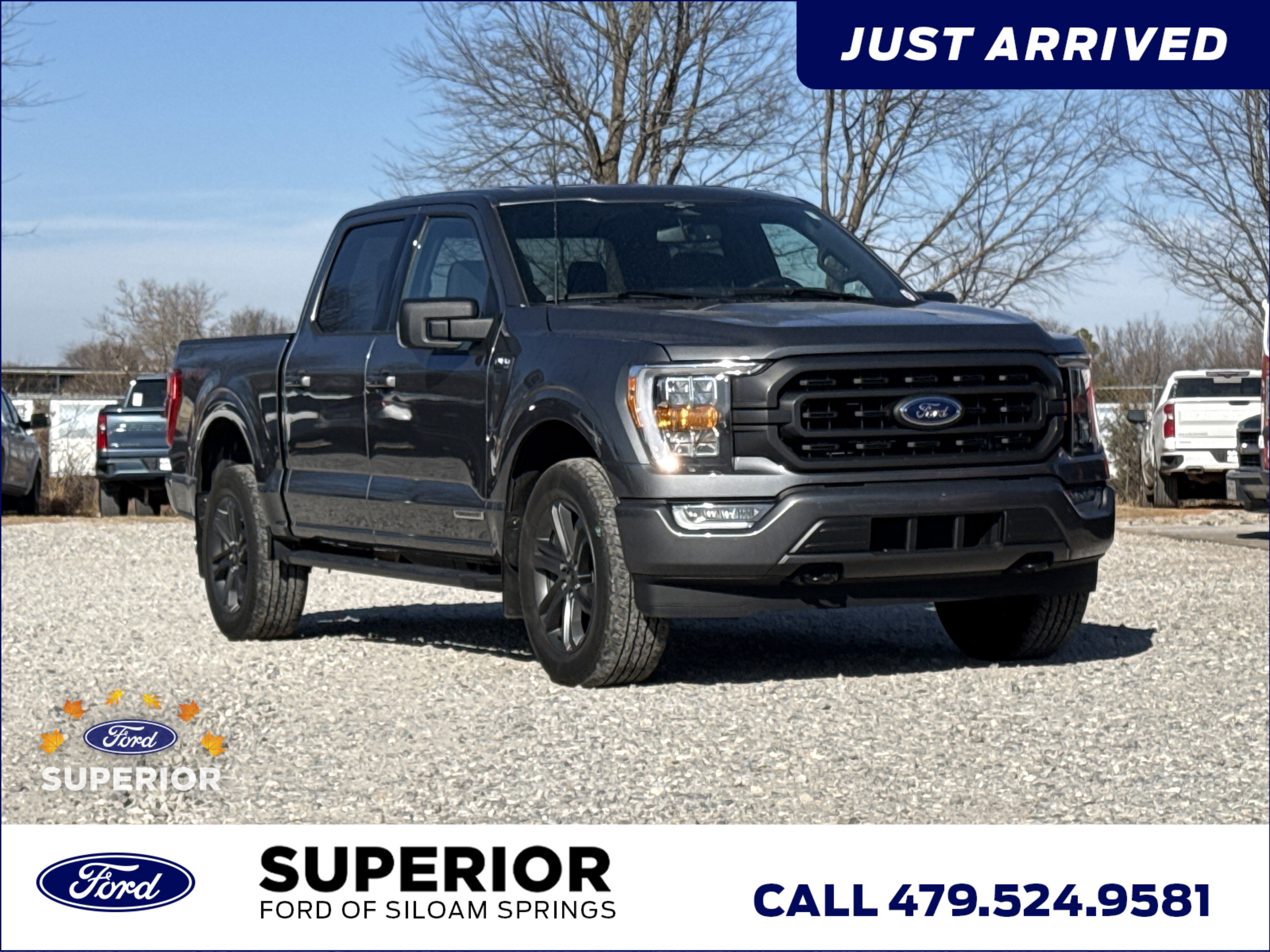 2023 Ford F-150 XLT's photo