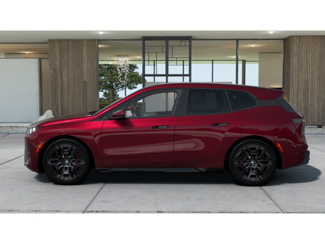 2026 Bmw iX photo 2
