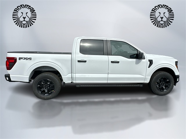 2025 Ford F-150 STX photo 4