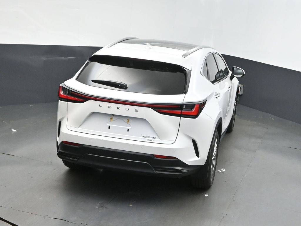 2023 Lexus NX 350 Luxury photo 32