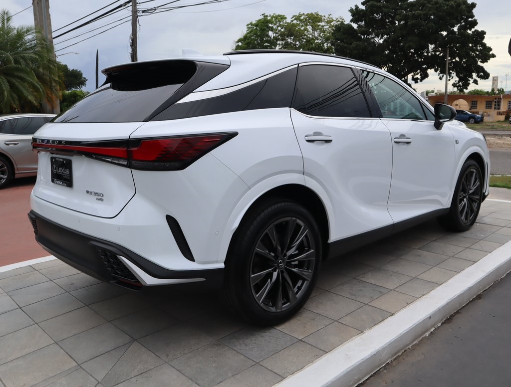 2025 Lexus RX 350 photo 5