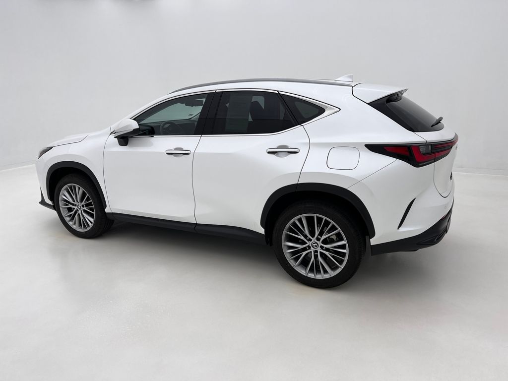 2025 Lexus NX 350 Premium photo 13