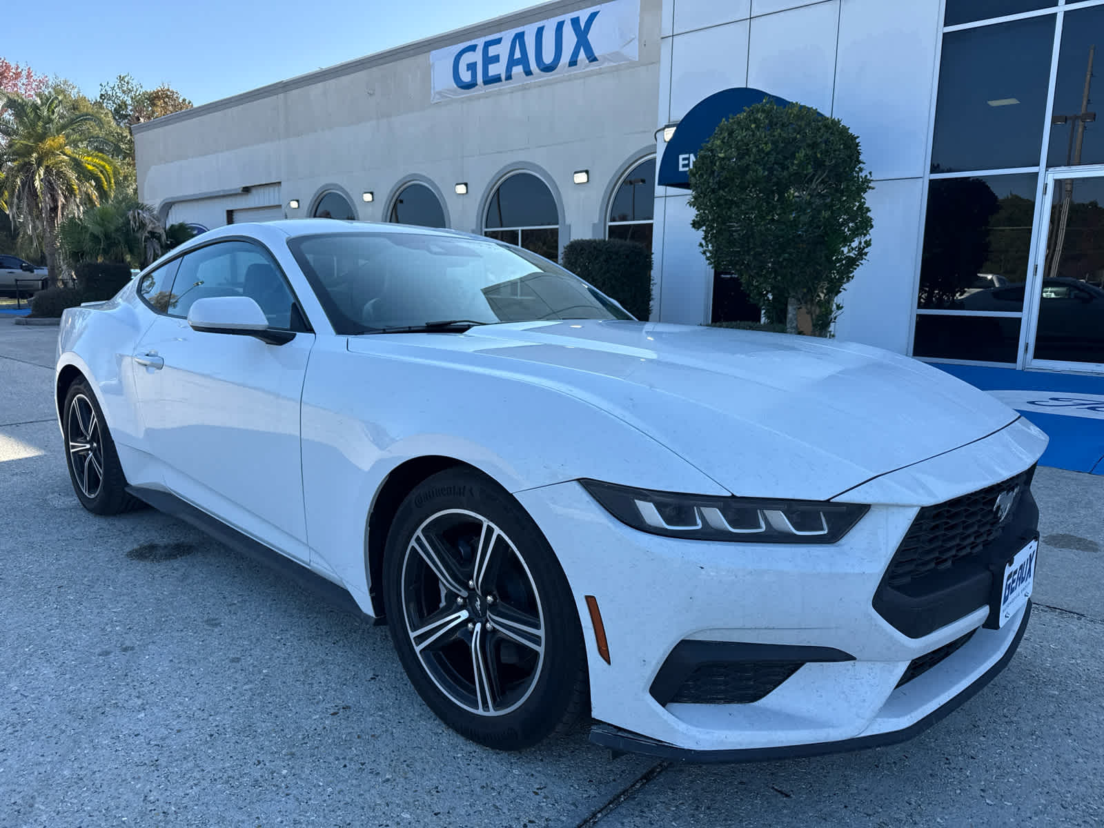 2024 Ford Mustang EcoBoost Premium's photo