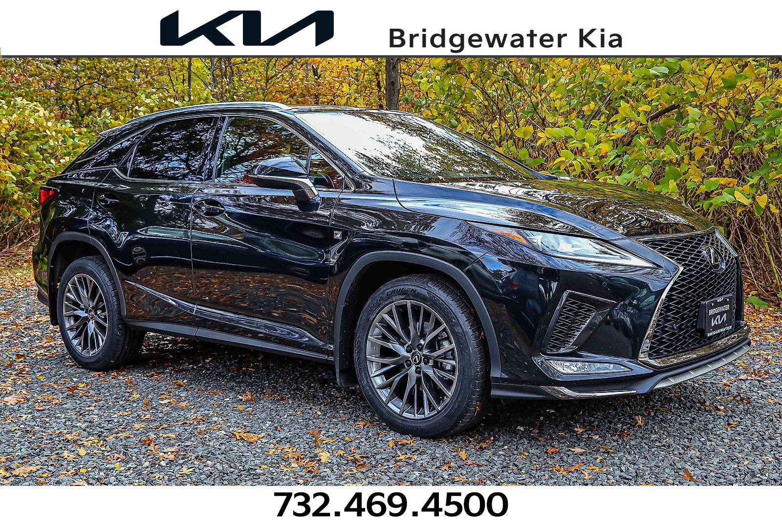 2022 Lexus RX 350 F SPORT's photo