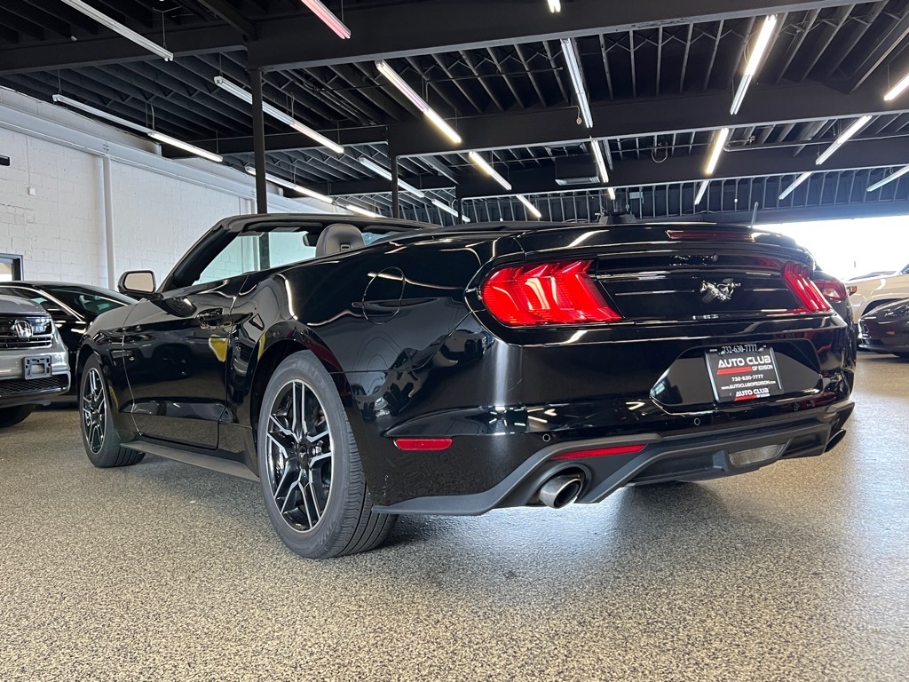 2023 Ford Mustang EcoBoost Premium photo 4