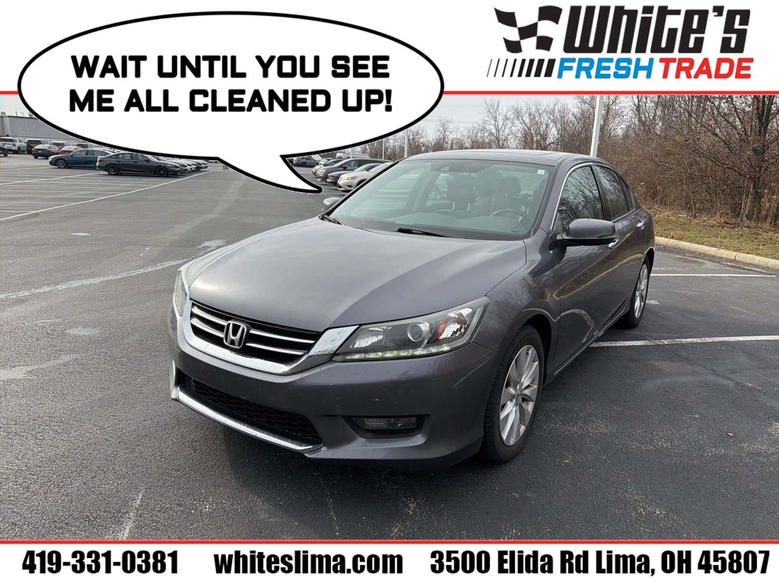 2014 Honda Accord EX-L V-6's photo