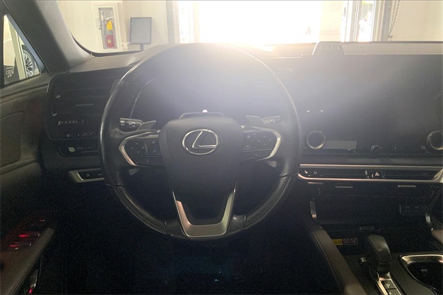 2024 Lexus RX 450h+ Luxury photo 2