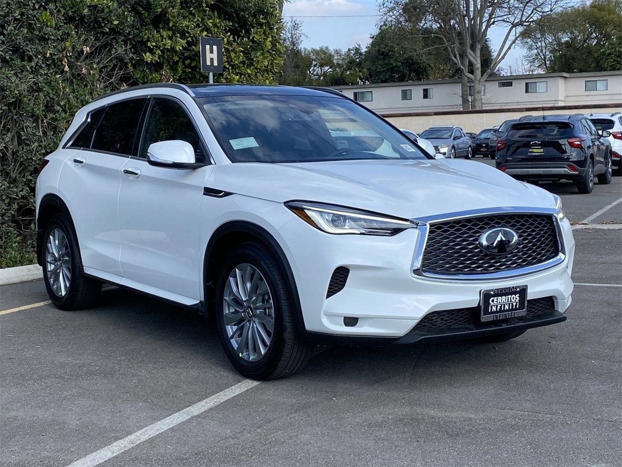 2025 Infiniti QX50 Luxe photo 3