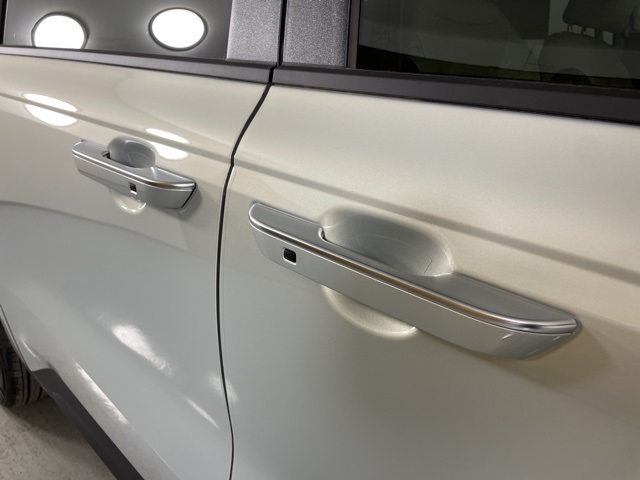 2026 Kia Carnival EX photo 8