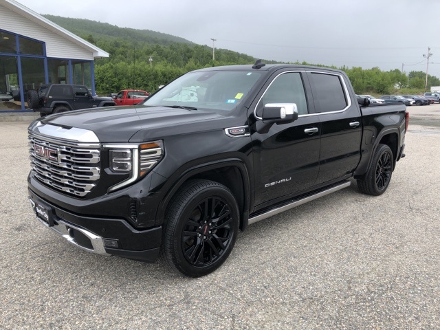 2024 Gmc Sierra 1500 Denali photo 7
