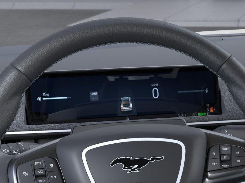 2025 Ford Mustang Mach-E GT photo 12