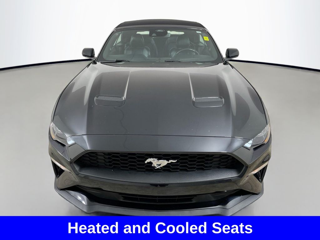 2023 Ford Mustang EcoBoost Premium photo 2