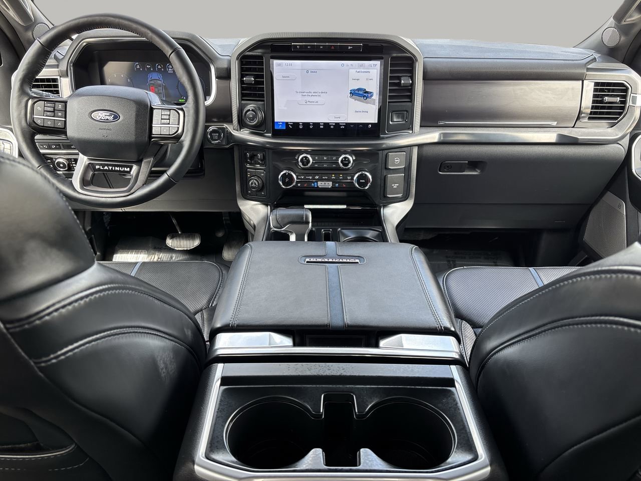 2024 Ford F-150 Platinum photo 10