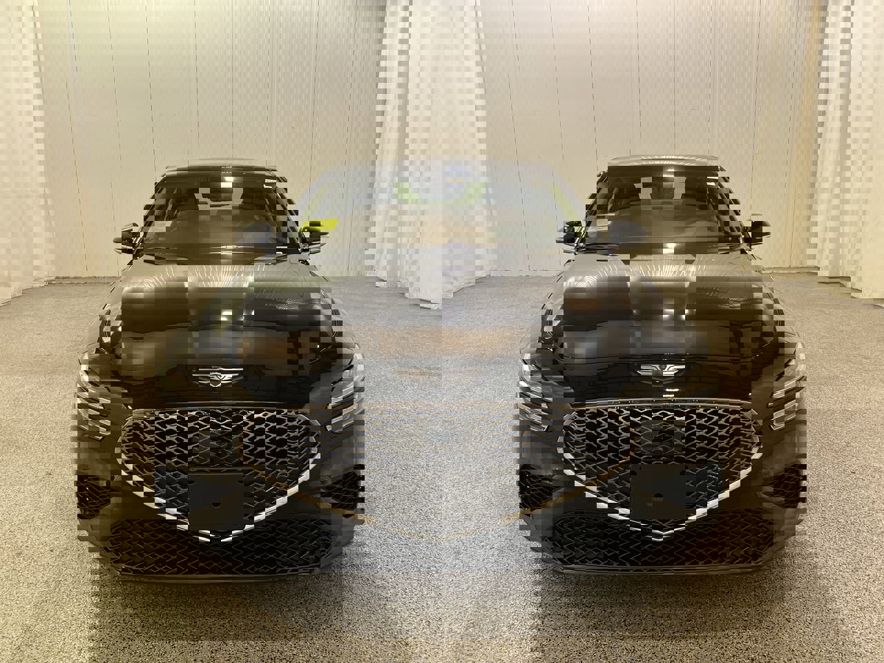 New 2026 Vik Black Genesis 2.5T Standard image 2