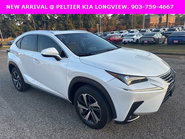 2019 Lexus NX 300's photo