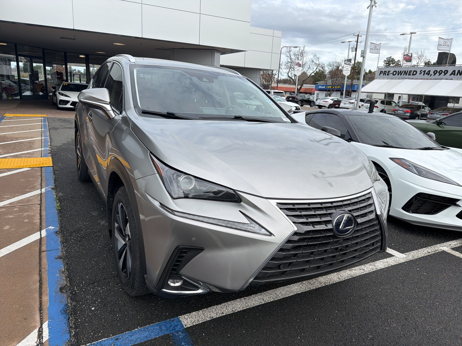 2021 Lexus NX Hybrid 300h's photo