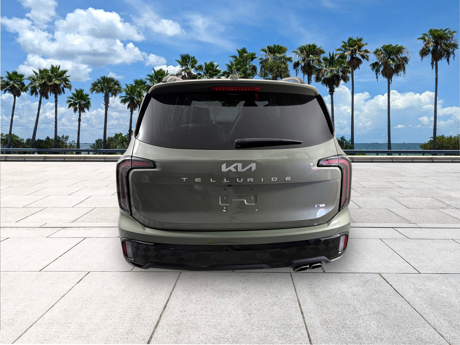2024 Kia Telluride EX X-Line photo 6