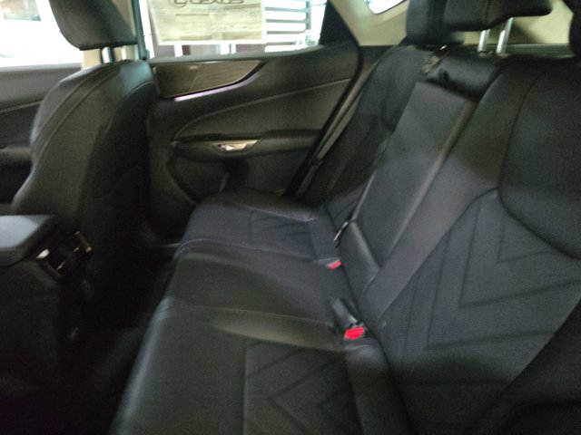 2025 Lexus NX 350h Luxury AWD photo 16