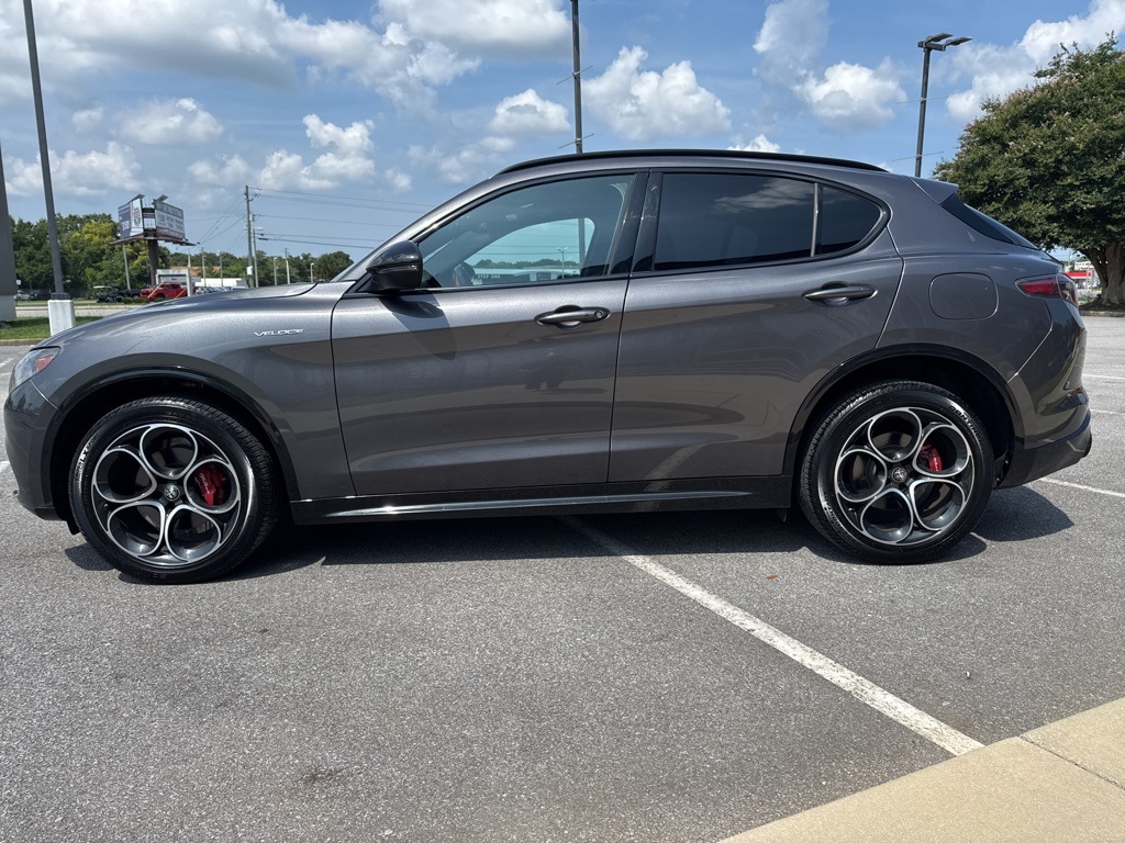 2024 Alfa Romeo Stelvio Tributo Italiano photo 4