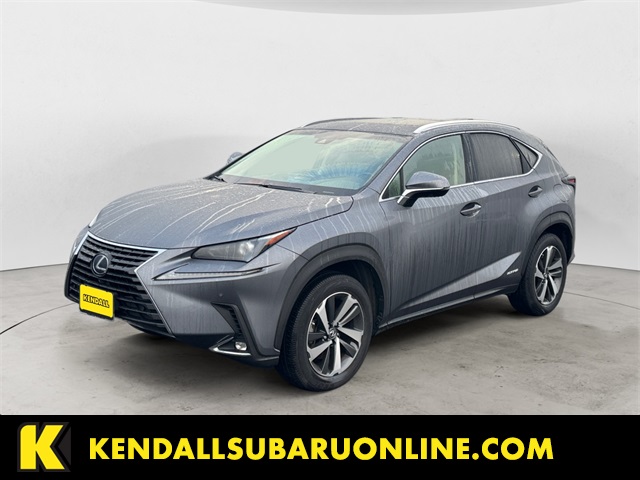 2019 Lexus NX Hybrid 300h's photo