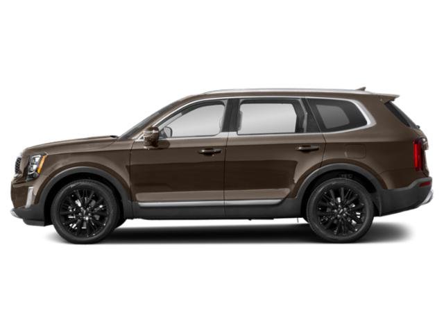 2022 Kia Telluride SX Prestige photo 3