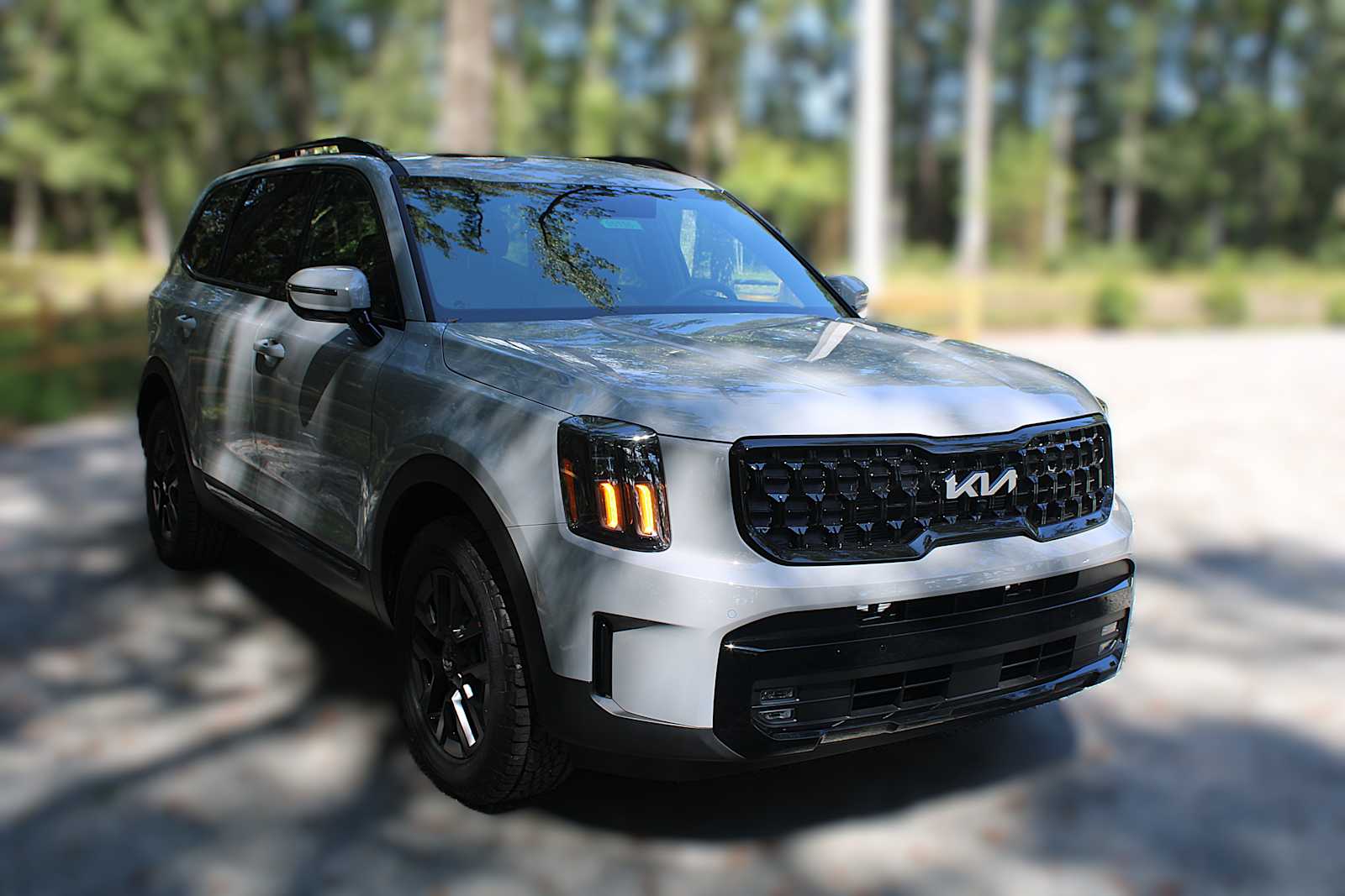 2025 Kia Telluride SX X-Line photo 12