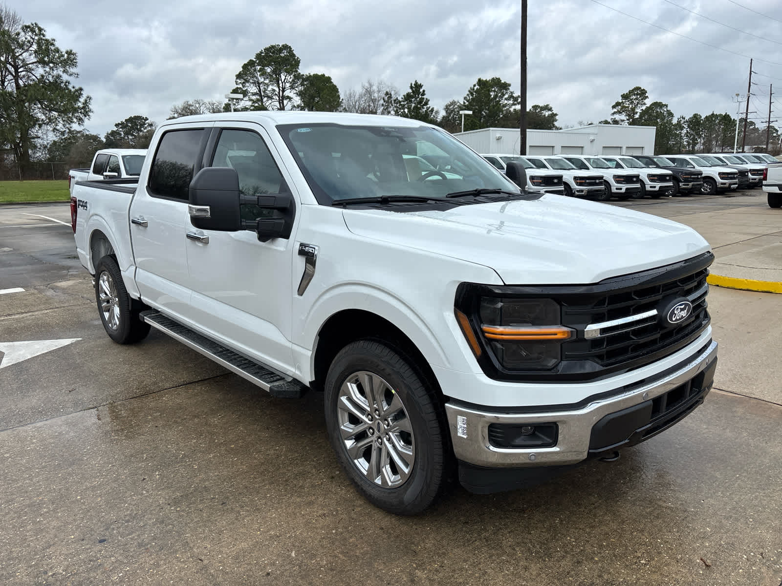2025 Ford F-150 XLT's photo