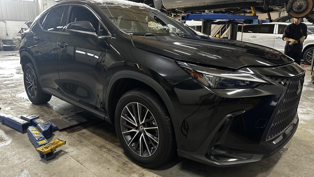 2023 Lexus NX 350's photo