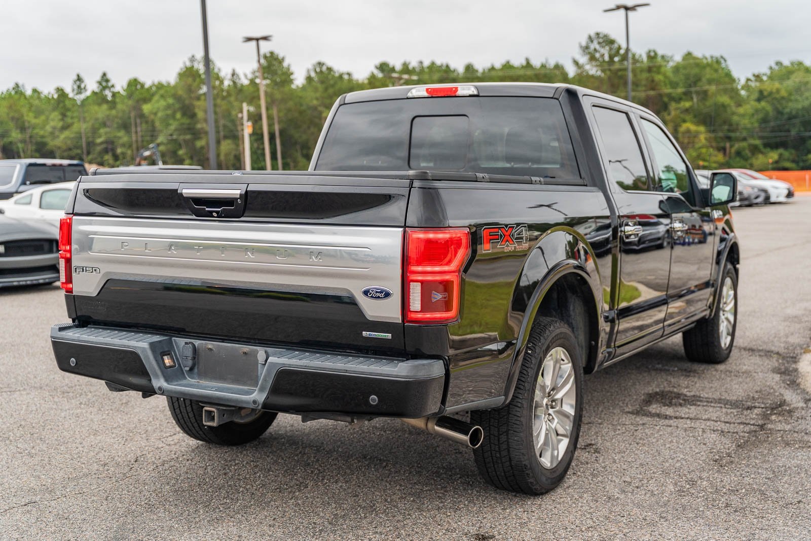 2018 Ford F-150 Platinum photo 7
