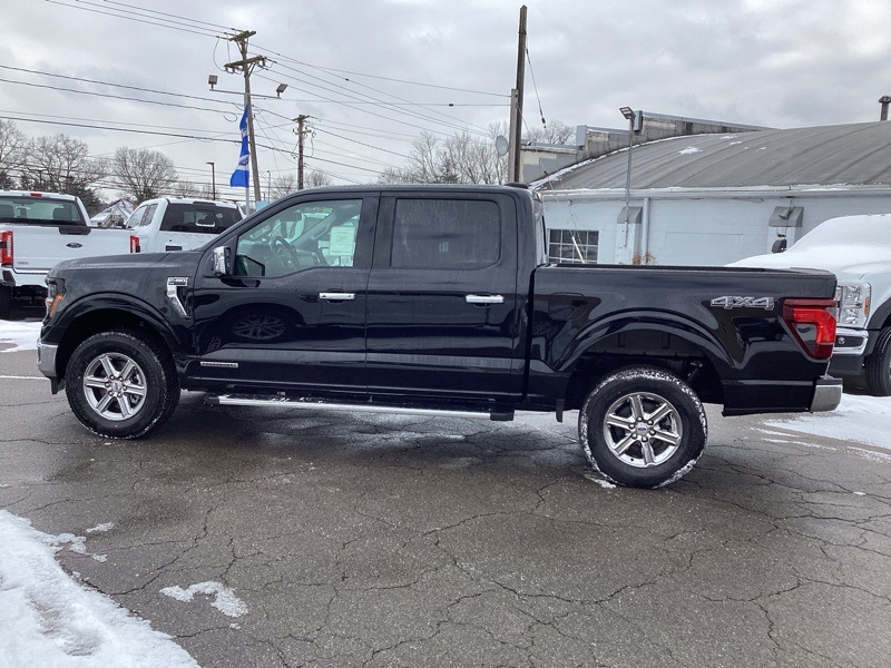 2025 Ford F-150 XLT photo 4