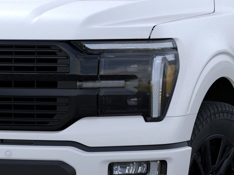 2025 Ford F-150 Platinum photo 16
