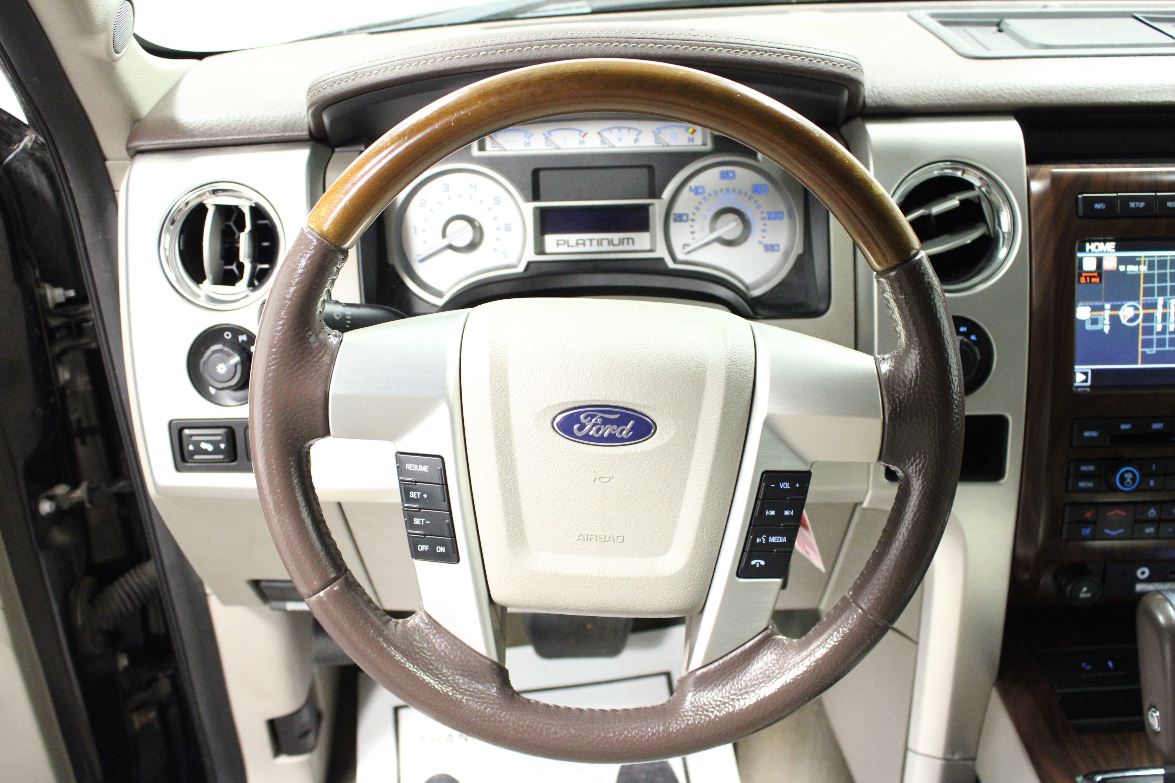 2010 Ford F-150 Platinum photo 15