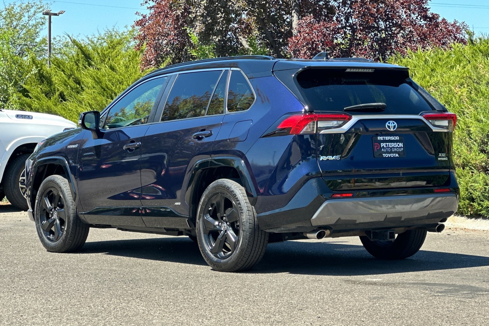 2019 Toyota RAV4 Hybrid XSE photo 6