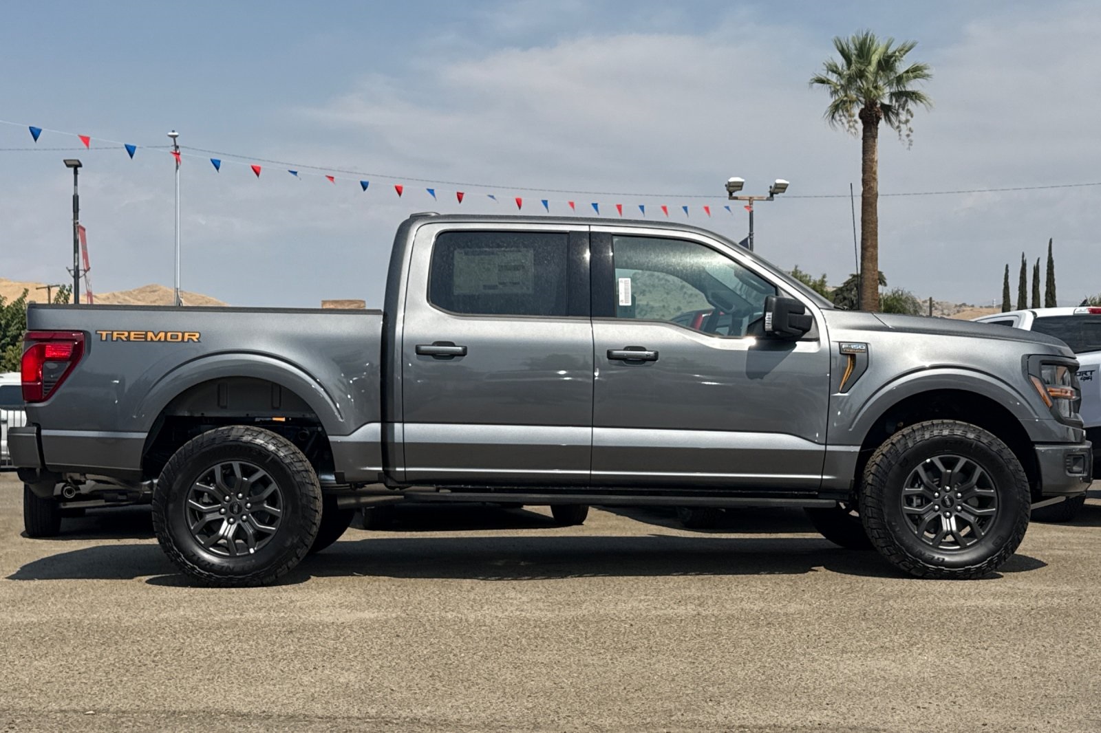 2025 Ford F-150 Tremor photo 3
