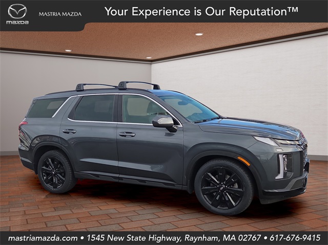2023 Hyundai Palisade XRT's photo