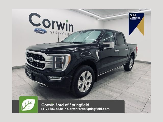 2023 Ford F-150 Platinum's photo