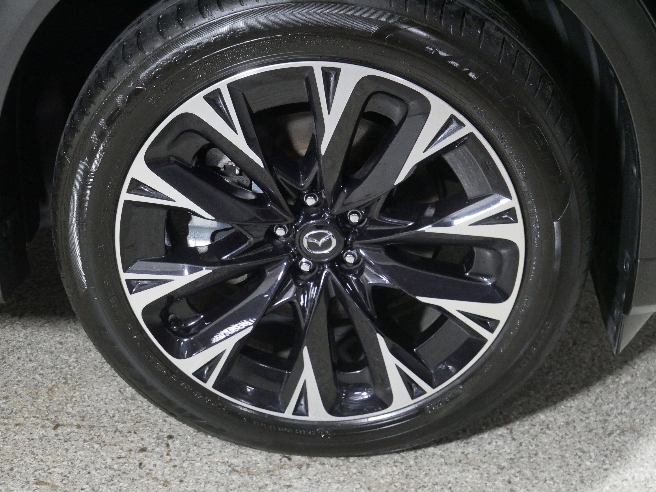 2024 Mazda CX-90 Premium Plus photo 14