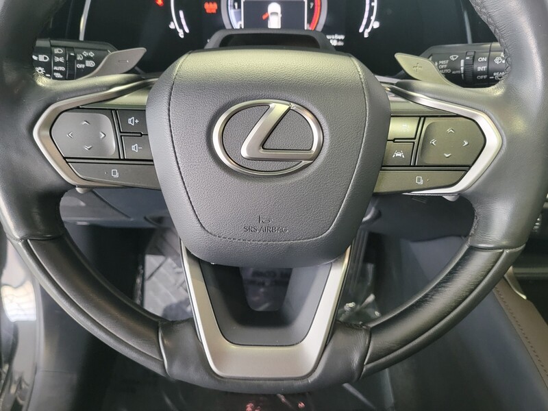 2023 Lexus RX 350 Luxury photo 15